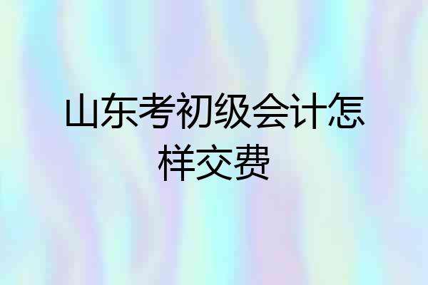 山东考初级会计怎样交费