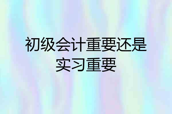 初级会计重要还是实习重要