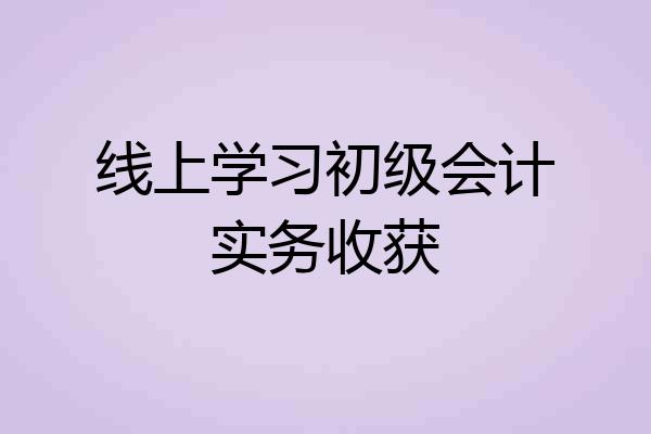 线上学习初级会计实务收获