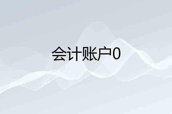会计账户0