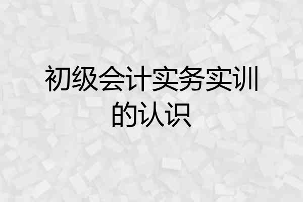 初级会计实务实训的认识