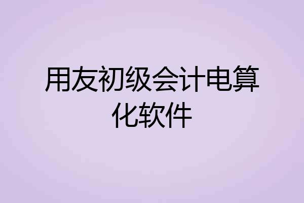 用友初级会计电算化软件