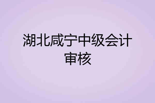 湖北咸宁中级会计审核