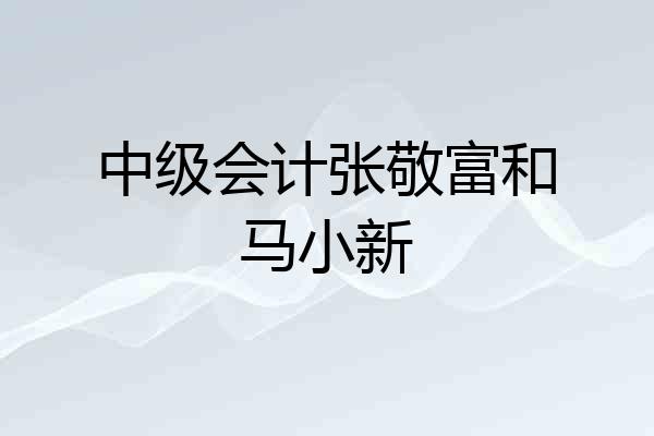 中级会计张敬富和马小新