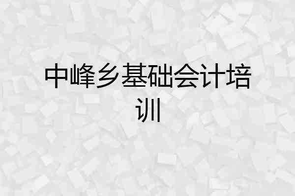 中峰乡基础会计培训