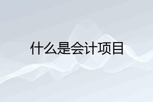 什么是会计项目