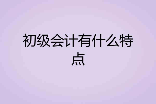初级会计有什么特点