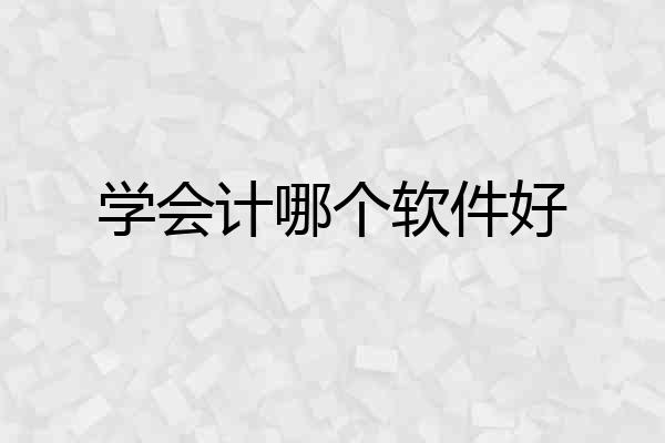学会计哪个软件好