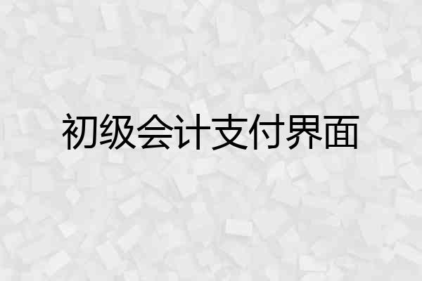 初级会计支付界面