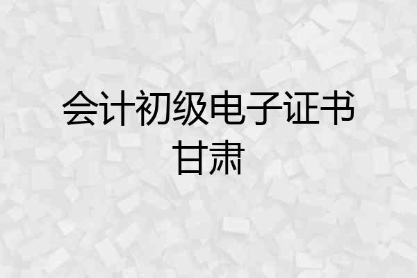 会计初级电子证书甘肃