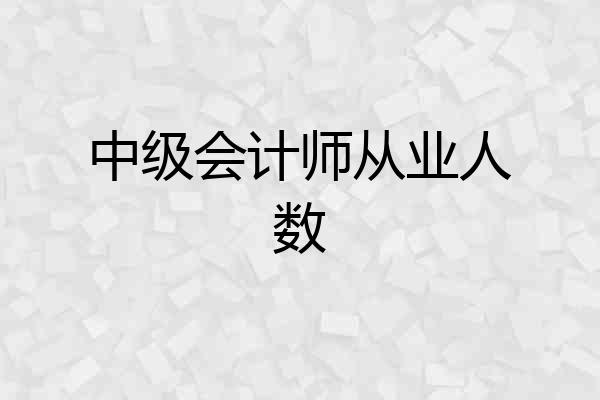 中级会计师从业人数