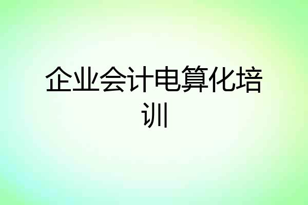 企业会计电算化培训