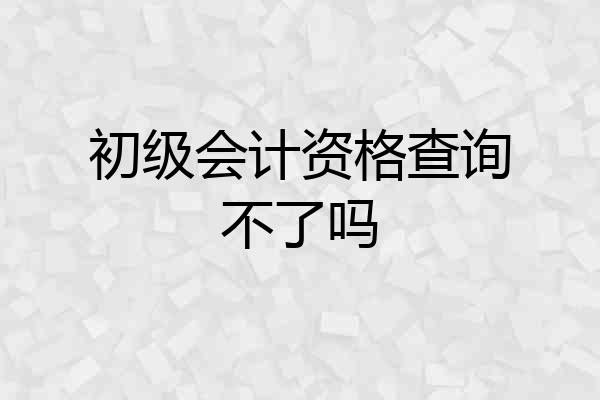 初级会计资格查询不了吗
