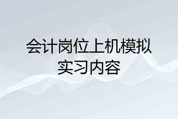 会计岗位上机模拟实习内容