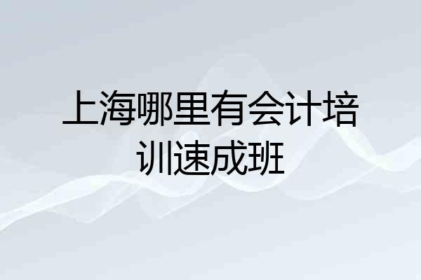 上海哪里有会计培训速成班