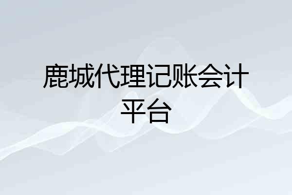 鹿城代理记账会计平台