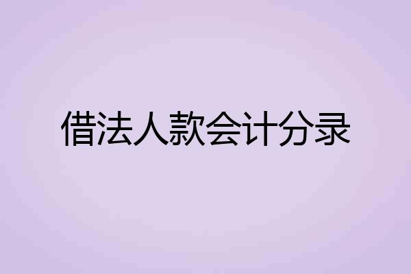 借法人款会计分录