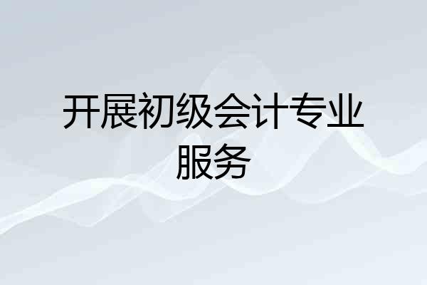 开展初级会计专业服务