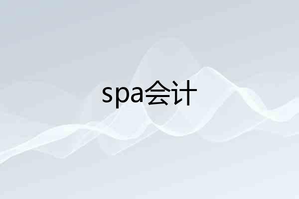 spa会计