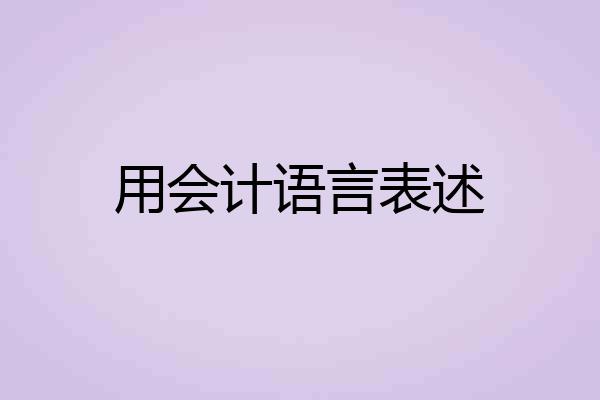 用会计语言表述