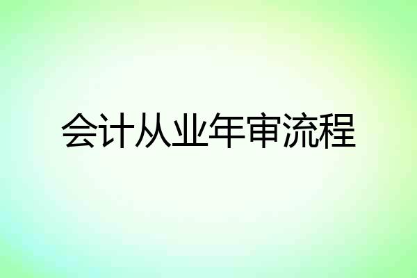 会计从业年审流程