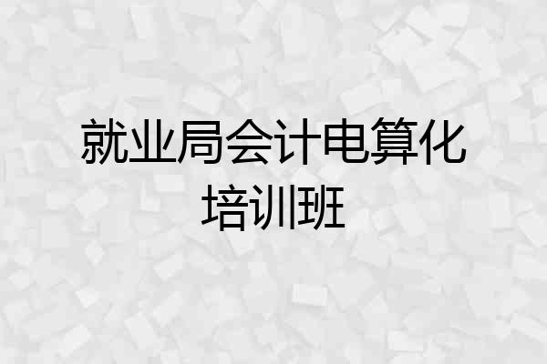 就业局会计电算化培训班