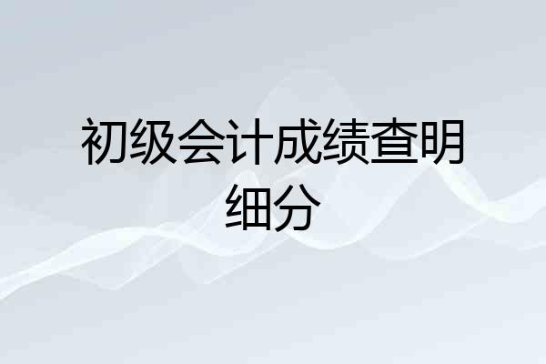 初级会计成绩查明细分
