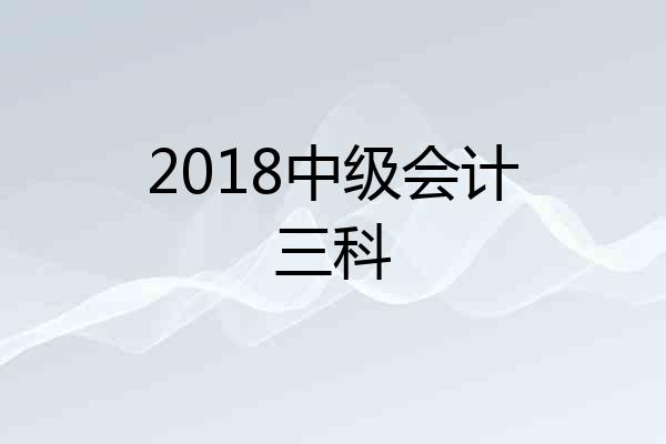 2018中级会计三科