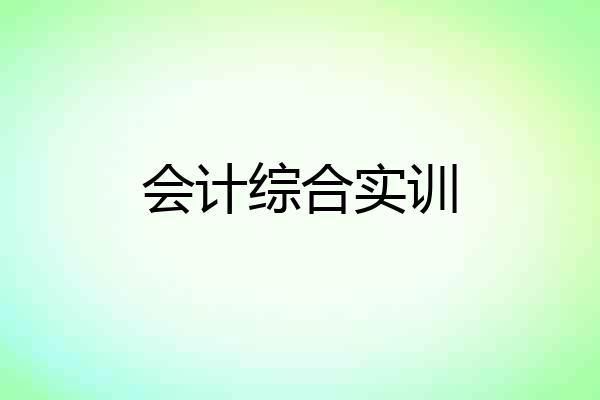 会计综合实训