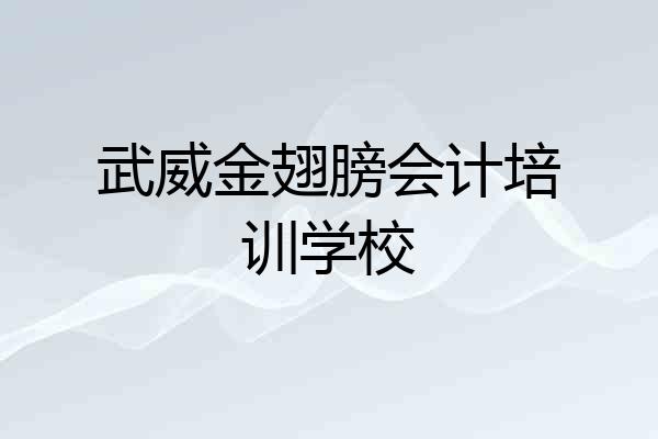 武威金翅膀会计培训学校