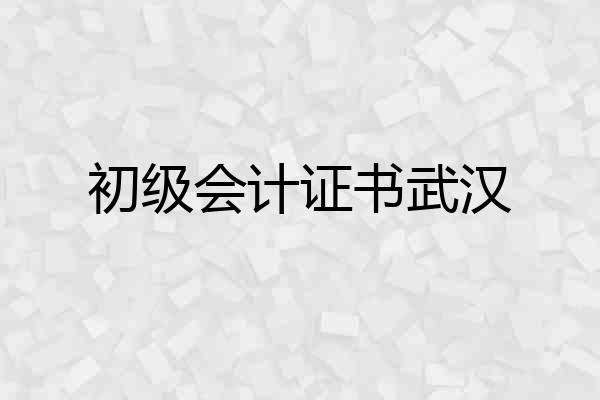 初级会计证书武汉