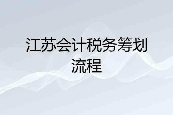江苏会计税务筹划流程