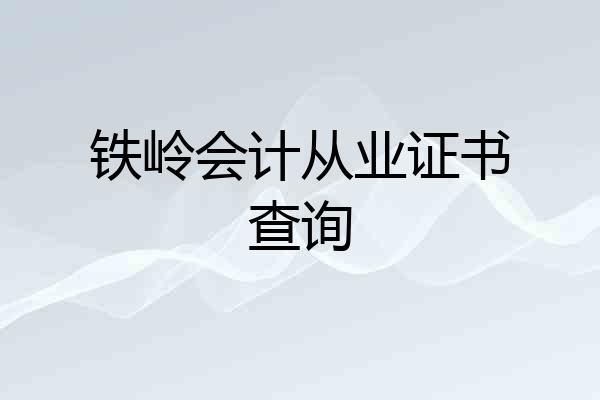 铁岭会计从业证书查询