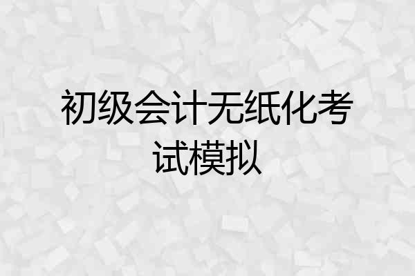 初级会计无纸化考试模拟