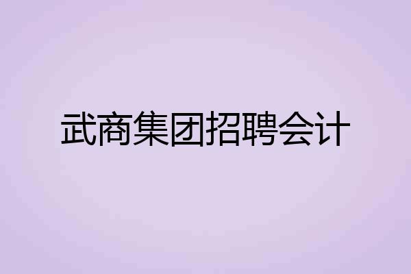 武商集团招聘会计