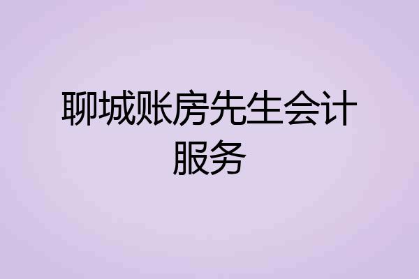 聊城账房先生会计服务