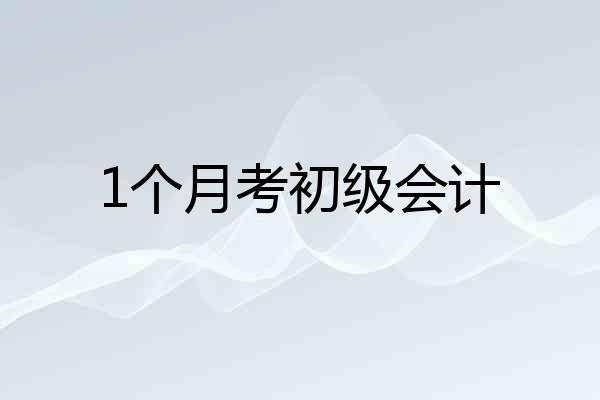 1个月考初级会计