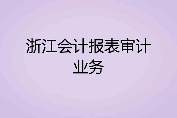 浙江会计报表审计业务