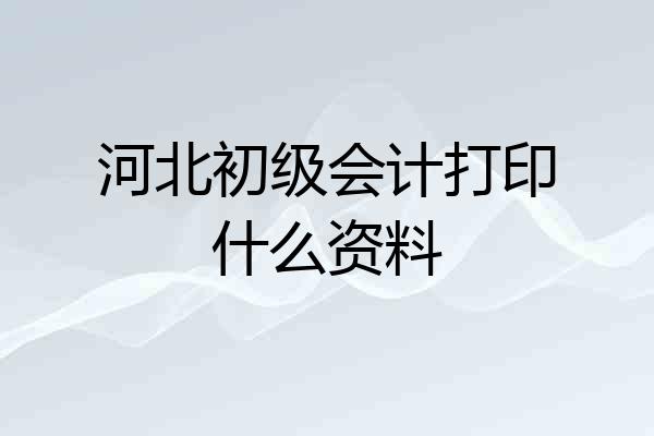 河北初级会计打印什么资料