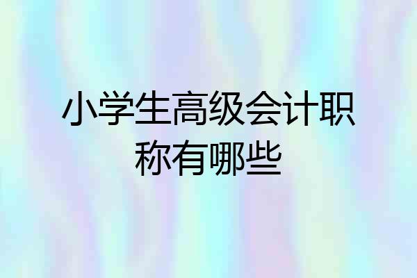 小学生高级会计职称有哪些