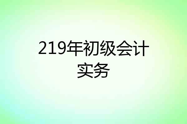 219年初级会计实务