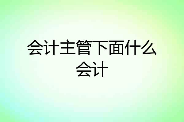 会计主管下面什么会计