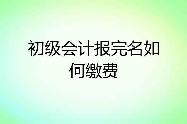 初级会计报完名如何缴费