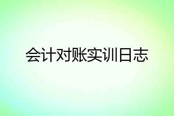 会计对账实训日志