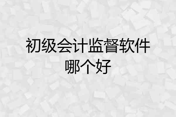初级会计监督软件哪个好