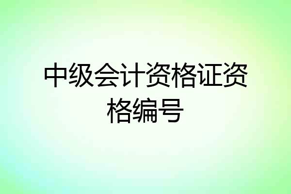 中级会计资格证资格编号