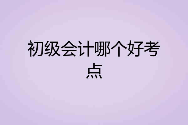初级会计哪个好考点
