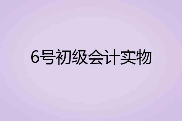 6号初级会计实物