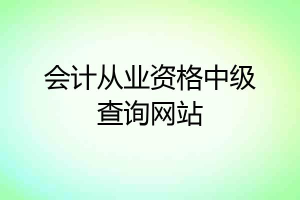 会计从业资格中级查询网站