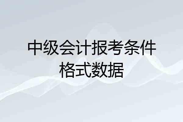 中级会计报考条件格式数据